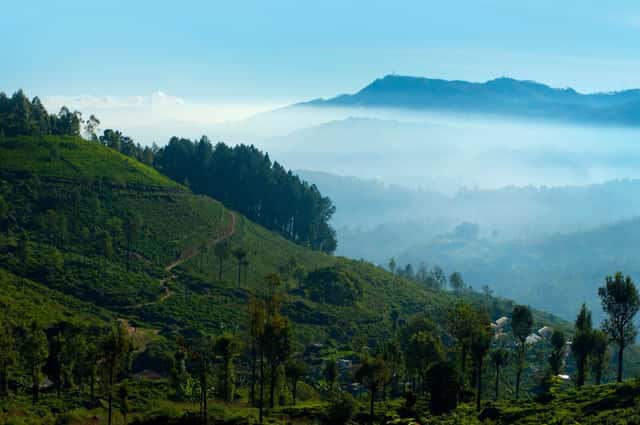 best time to visit sri lanka f