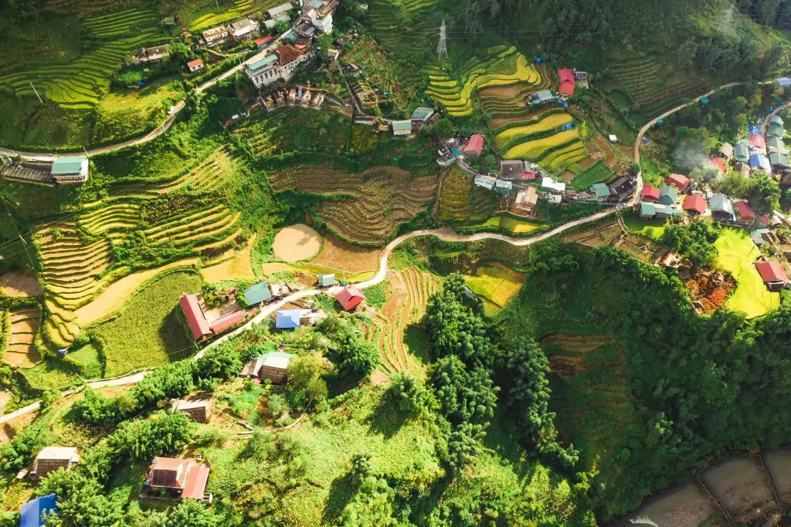 Green hills and rice terraces in Vietnam