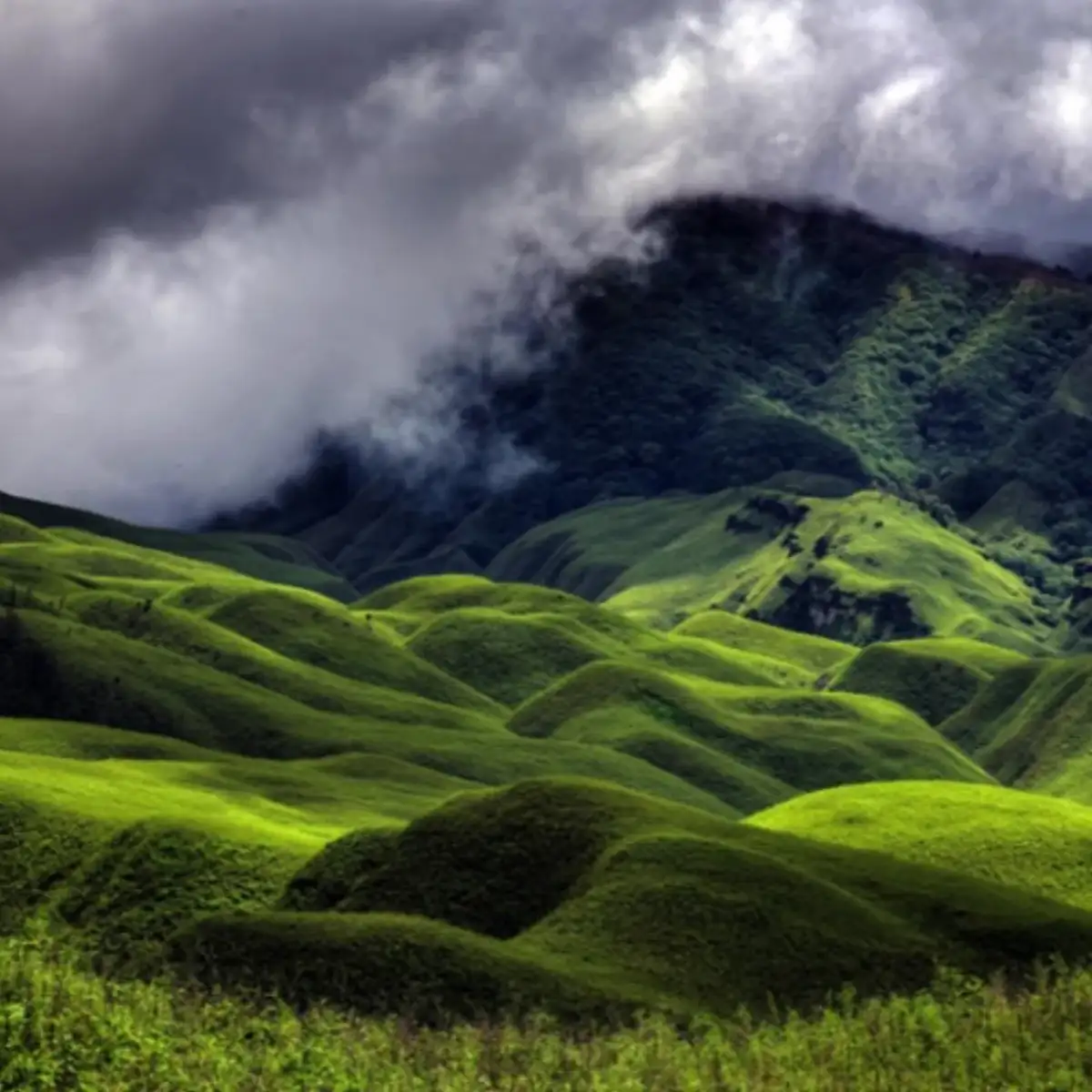 Highlands of Nagaland