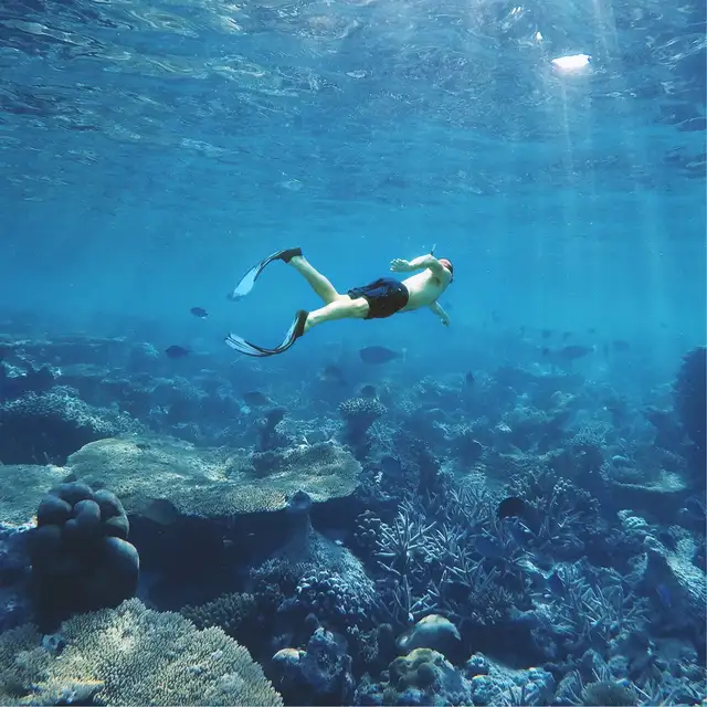 the best dive destinations
