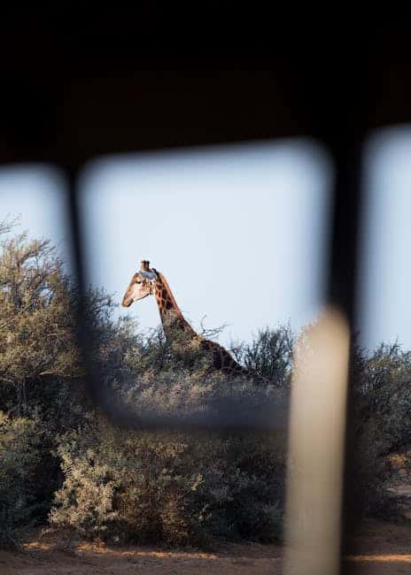 Kenya 4N/5D (Fixed Departure) · photo 2