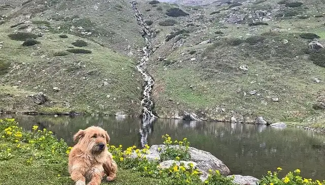 Yulla Kanda Trek - 2N-3D · photo 3