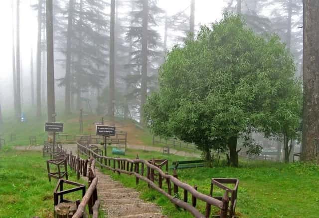 KANATAL TEHRI - 1n-2d · photo 2