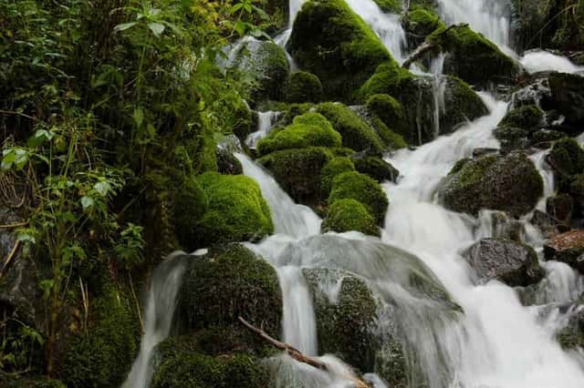 KHEERGANGA TREK ( 1N/2D ) · photo 2