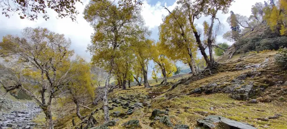 Marchoi Valley Trek (3N/4D)