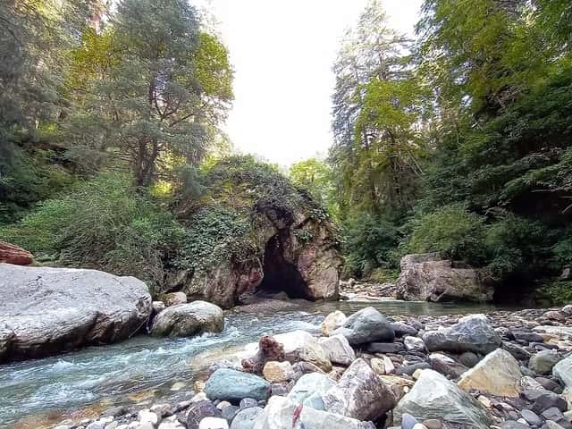 Jibhi Jalori Tirthan - 2N-3D · photo 2