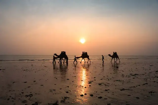 RANN OF KUTCH (3N|4D) · photo 2
