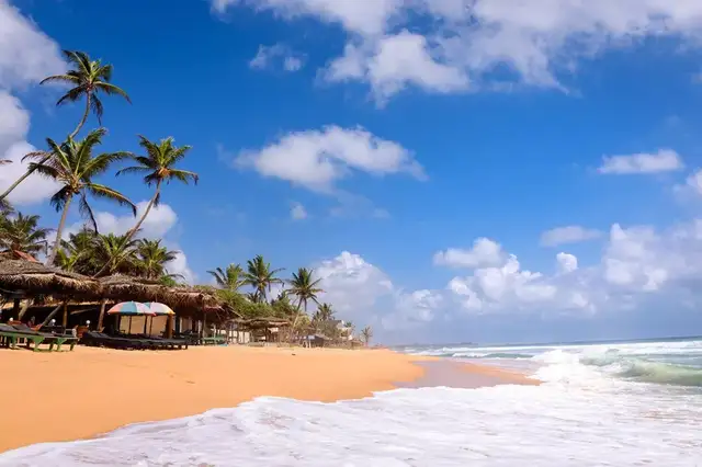 Sri Lanka (6N/7D) · photo 3