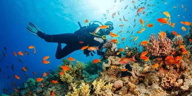 Andaman (3N/4D)