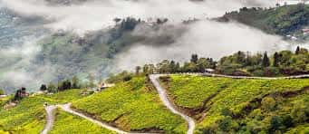 EXPLORE SIKKIM DARJEELING (5N/6D) · photo 3