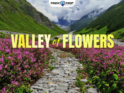 Valley of Flowers Trek (5N/6D)