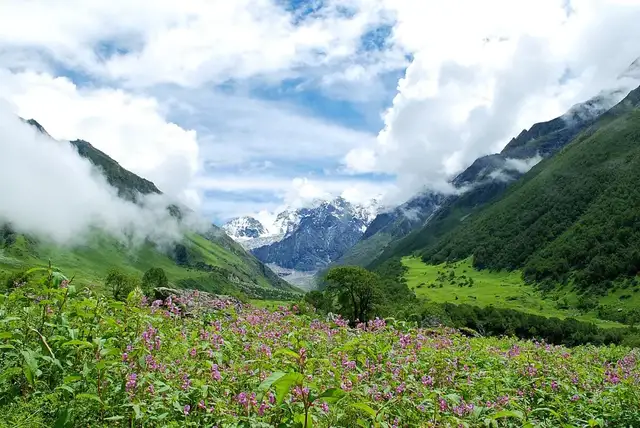 Valley of Flowers Trek (5N/6D) · photo 3