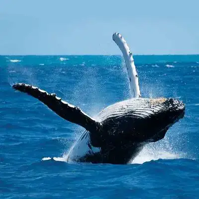 Wonders of Sri Lanka, destination photo 1
