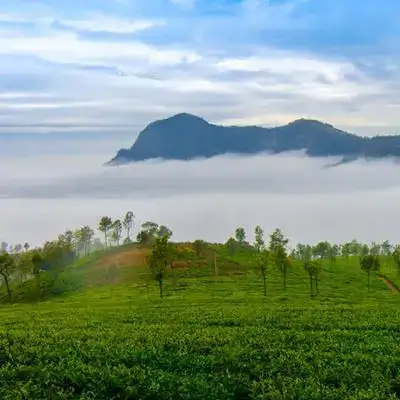 Coonoor with Ooty Tour, destination photo 1