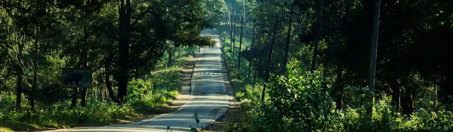 From Jungle Roars to Coastal Shores: Gujarat Escapade
