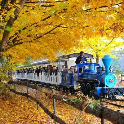 South Korean Trail