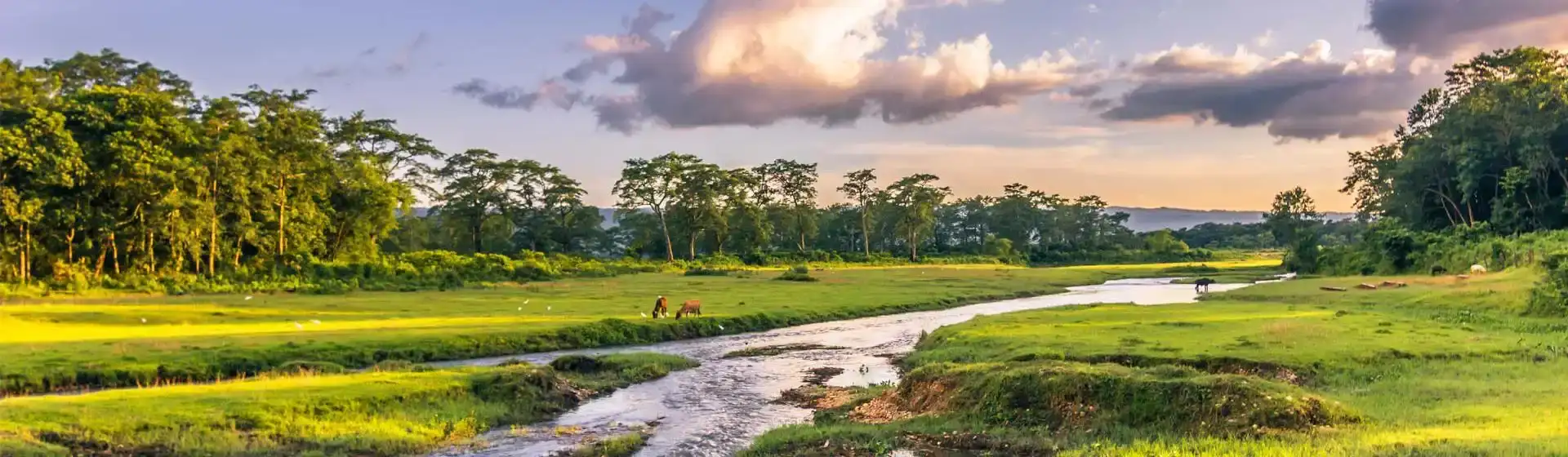 Nepal Tour